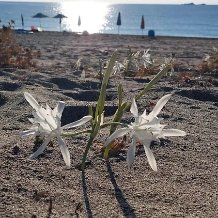 Tatil Evi Casa Scirocco Sardegna